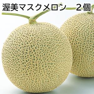 爆買 渥美マスクメロン 2個の商品画像