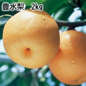 豊水梨　２ｋｇ｜jpts