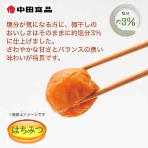 中田食品 紀州の完熟南高梅 減塩はちみつ梅 4箱の詳細画像1