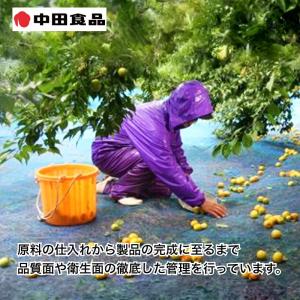 中田食品 紀州の完熟南高梅 減塩はちみつ梅 4箱の詳細画像3