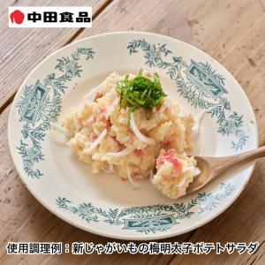 中田食品 紀州の完熟南高梅 減塩はちみつ梅 4箱の詳細画像4