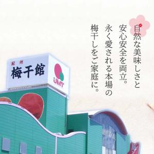 ウメタ 紀州南高梅減塩約3%はちみつ梅干 2箱の詳細画像2