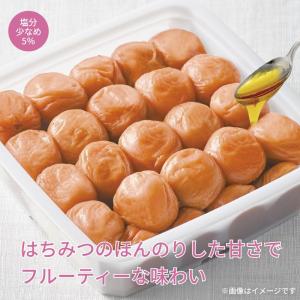 紅梅園 まろやかはちみつ南高梅の詳細画像1