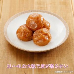 紅梅園 まろやかはちみつ南高梅の詳細画像2