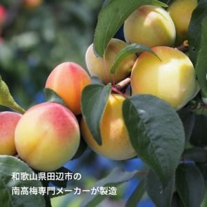 紅梅園 まろやかはちみつ南高梅の詳細画像3
