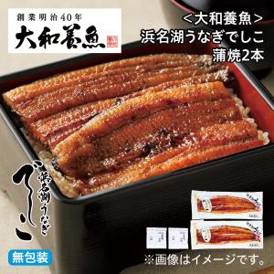 お中元 うなぎ 2026 ＜大和養魚＞浜名湖うなぎでしこ　蒲焼２本