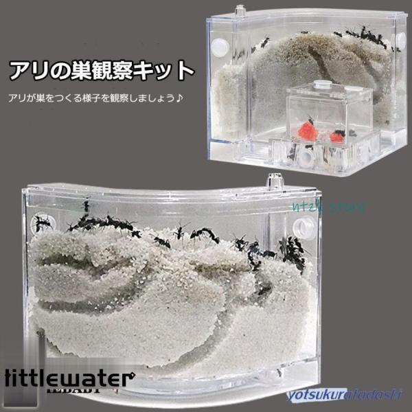 アリの巣　あり観察キット　飼育ケース　砂　自由研究 小学生 あり 蟻 飼育セット 実験セット 観察　...