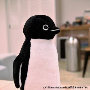 Suicaのペンギン ぬいぐるみマスコットM｜JR東日本商事いいものステーション