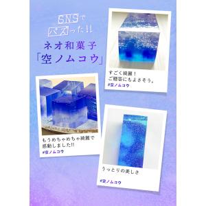 空ノムコウ 送料無料【佐藤屋 和菓子 寒天 ギ...の詳細画像2
