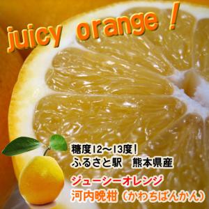 九州 ギフト 2024　ふるさと駅 ジューシーオレンジ 河内晩柑 かわちばんかん 8kg前後 熊本県産 常温｜jrk-shoji