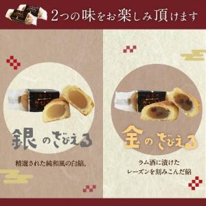 九州 ギフト 2026 ざびえる本舗 ざびえる...の詳細画像2