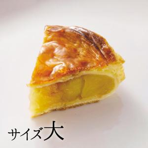 【2023/11/30 終売】九州 ギフト 2025　林檎と葡萄の樹  アップルパイ 大  福岡有名店  朝倉 冷蔵