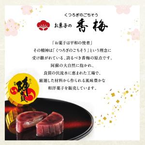 九州 ギフト 2026 お菓子の香梅 誉の陣太...の詳細画像4