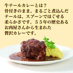 九州 ギフト 2026 豊味館 牛テールカレー...の詳細画像1