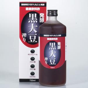 九州 ギフト 2024　堤酒造 発酵黒大豆搾り  720ml  常温｜jrk-shoji