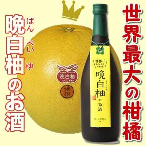 九州 ギフト 2024　堤酒造 晩白柚のお酒  8度 720ml  常温