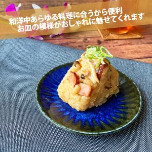 ネプチューン うすかる 12cm 丸皿 プレー...の詳細画像3