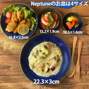 ネプチューン うすかる 12cm 丸皿 プレー...の詳細画像4