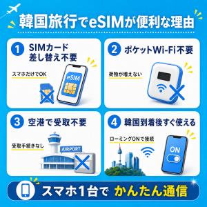 【SKテレコム公式】韓国 eSIM 無制限 高...の詳細画像4