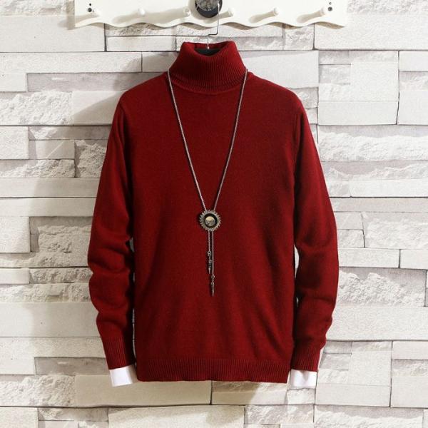 メンズニットセーター(アクセサリは付かない) 秋冬 タートル ネック 洗える シンプル おしゃれ カ...