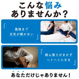 ポイント最大30倍 (約200倍)ニンニク成分...の詳細画像3