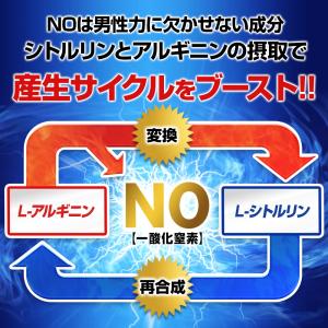 ポイント最大31倍 シトルリン 栄養ドリンク ...の詳細画像5