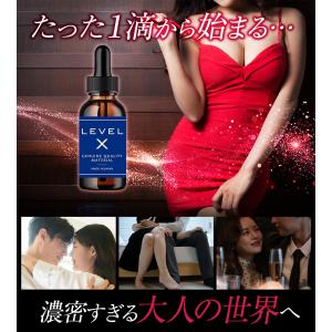 (要エントリー)Pt付与 LEVEL X レベ...の詳細画像2
