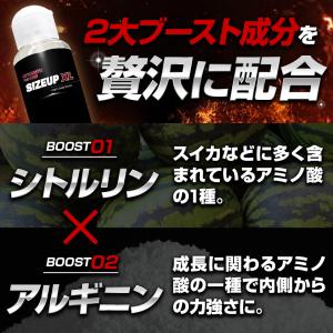 今ならポイント最大20倍 サイズアップ XL ...の詳細画像4