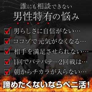 亜鉛 サプリメント ペニ活サプリ BIG ビッ...の詳細画像4