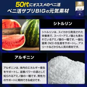 亜鉛 サプリメント ペニ活サプリ BIG ビッ...の詳細画像5