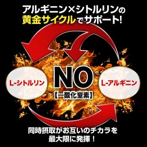 大容量360粒 アルギニン シトルリン 90,...の詳細画像5