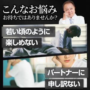 ポイント最大30倍 ガチンコ3回戦 亜鉛 マカ...の詳細画像5