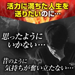 本日限定クーポンあり フルボッキン なつかしい...の詳細画像3