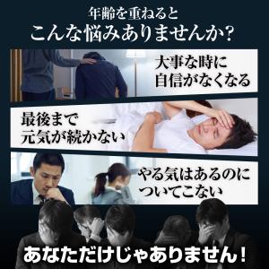 マカ シトルリン クラチャイダム 活力 サプリ...の詳細画像2