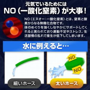 マカ シトルリン クラチャイダム 活力 サプリ...の詳細画像4