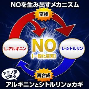 マカ シトルリン クラチャイダム 活力 サプリ...の詳細画像5