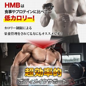 HMB サプリメント 国内製造 HMB 45,...の詳細画像5
