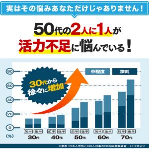 ポイント最大29倍 亜鉛 マカ 卵白ペプチド ...の詳細画像4