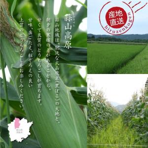 【早期予約受付中・7月下旬以降発送予定】蒜山高...の詳細画像1