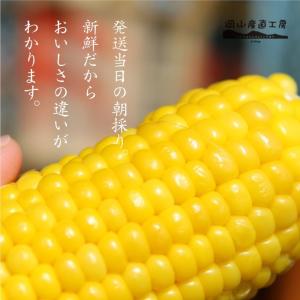 【早期予約受付中・7月下旬以降発送予定】蒜山高...の詳細画像2