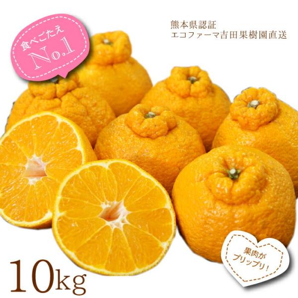 【4月中旬以降発送】デコポン 送料無料 味濃い でこ姫 約10kg30玉前後 サイズ不揃い でこぽん...