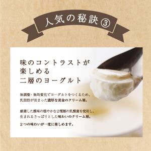 蒜山酪農 クリーム層のある蒜山ジャージーヨーグ...の詳細画像3