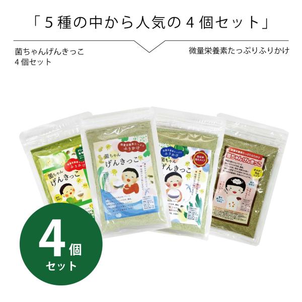 腸活 野菜 ふりかけ 無添加  菌ちゃんげんきっこ 5種から人気の4個セット ポスト投函 送料無料