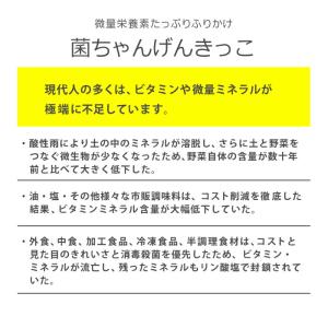 リーフレット 腸活 野菜ふりかけ 菌ちゃんげん...の詳細画像2