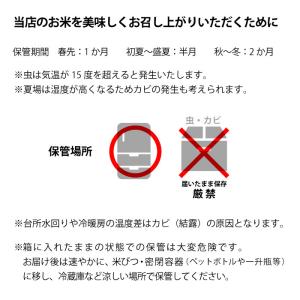 【令和7年産】お米 米10kg 循米めぐり米 ...の詳細画像1