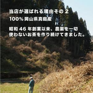 粉末茶 選べる6袋セット 送料無料 国産 健康...の詳細画像4