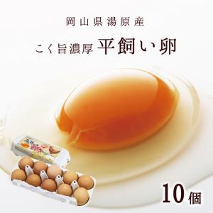 平飼い卵10個入 岡山県湯原温泉郷 味濃いたまご(tamago103)