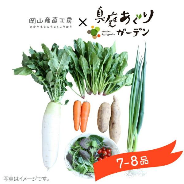 野菜セット 真庭あぐり野菜セット 7〜8品 カット野菜入り 送料無料