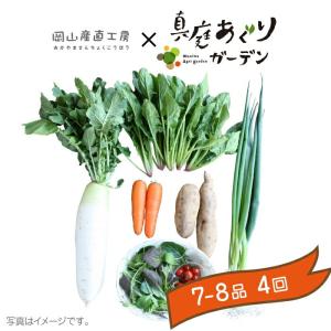 岡山産直 定期野菜セット おまかせ7品×4回分...