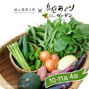 岡山産直 定期野菜セット おまかせ10品×4回分...
